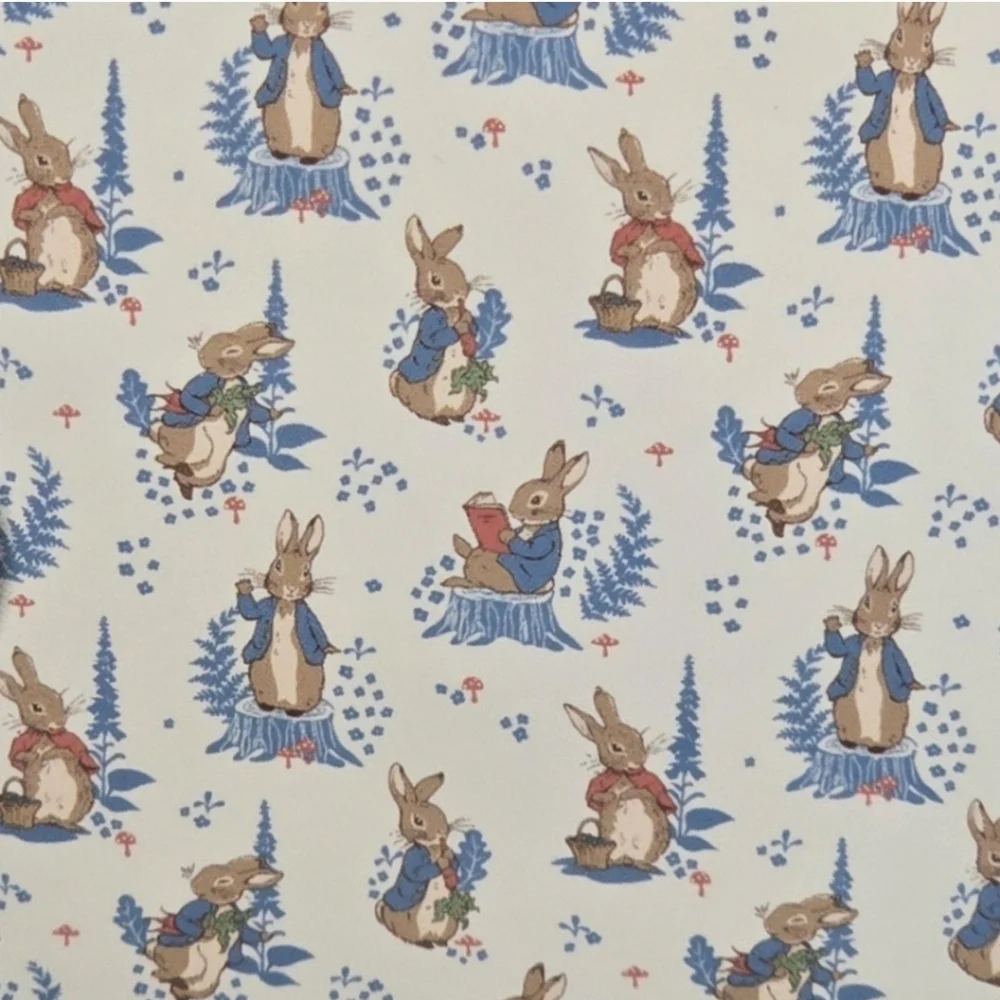 Peter Rabbit Blanket & Sheet Set 🥕 4 Piece Set